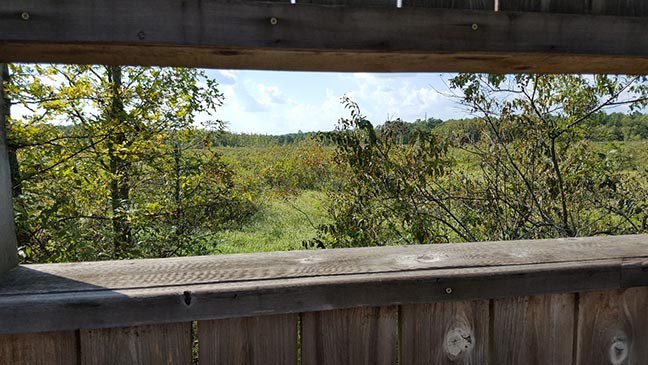 Maumelle Wetlands Trail