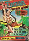 Tarzan Blybos Summer Special 1980